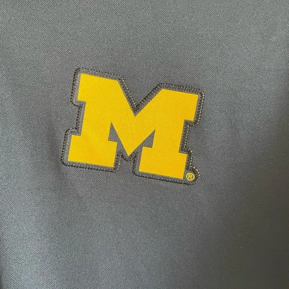 Nike Dri-Fit Michigan Wolverines Polo - Picture 4 of 7